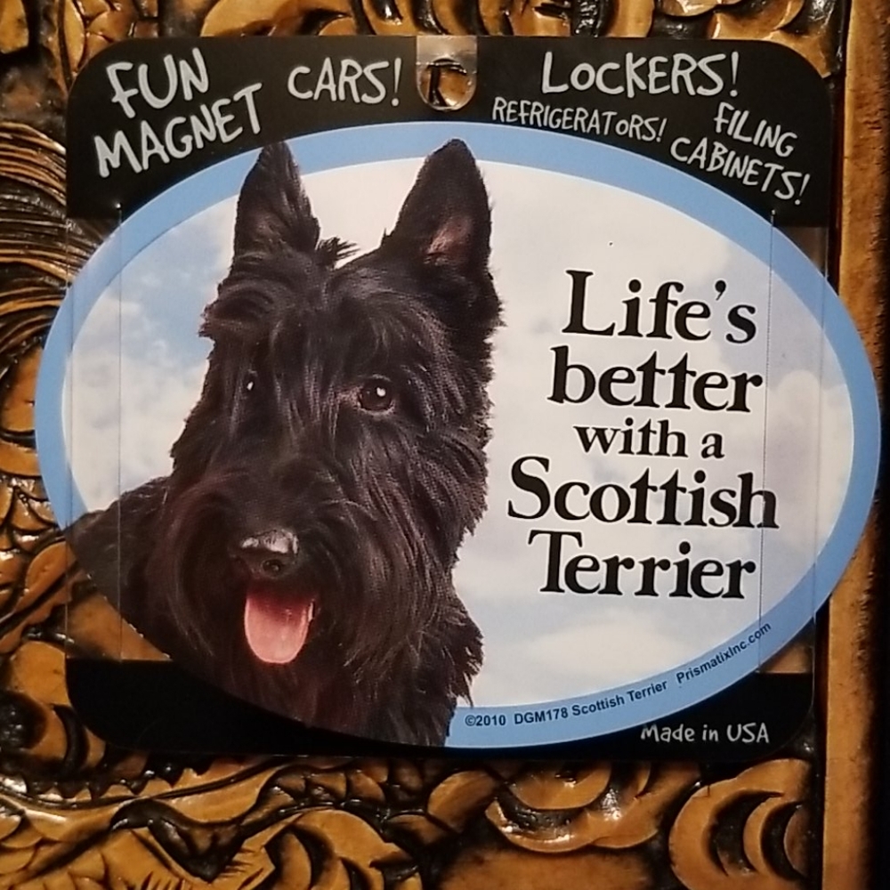 Pet Love Magnet